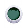 Color Gel N.42