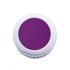 Color Gel N.58
